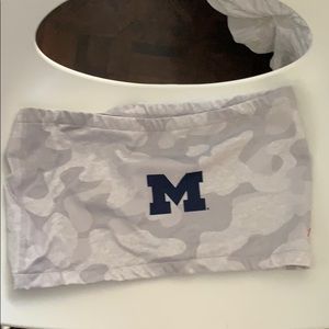 University of Michigan bandeau